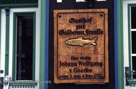 Gasthof "Goldene Forelle" in Wernigerode am Marktplatz