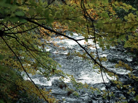 Auch der Harz kommt nach Ansicht der Forscher als Versteck in Frage